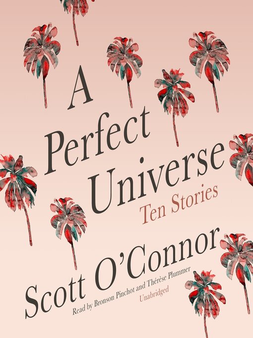 Cover image for A Perfect Universe